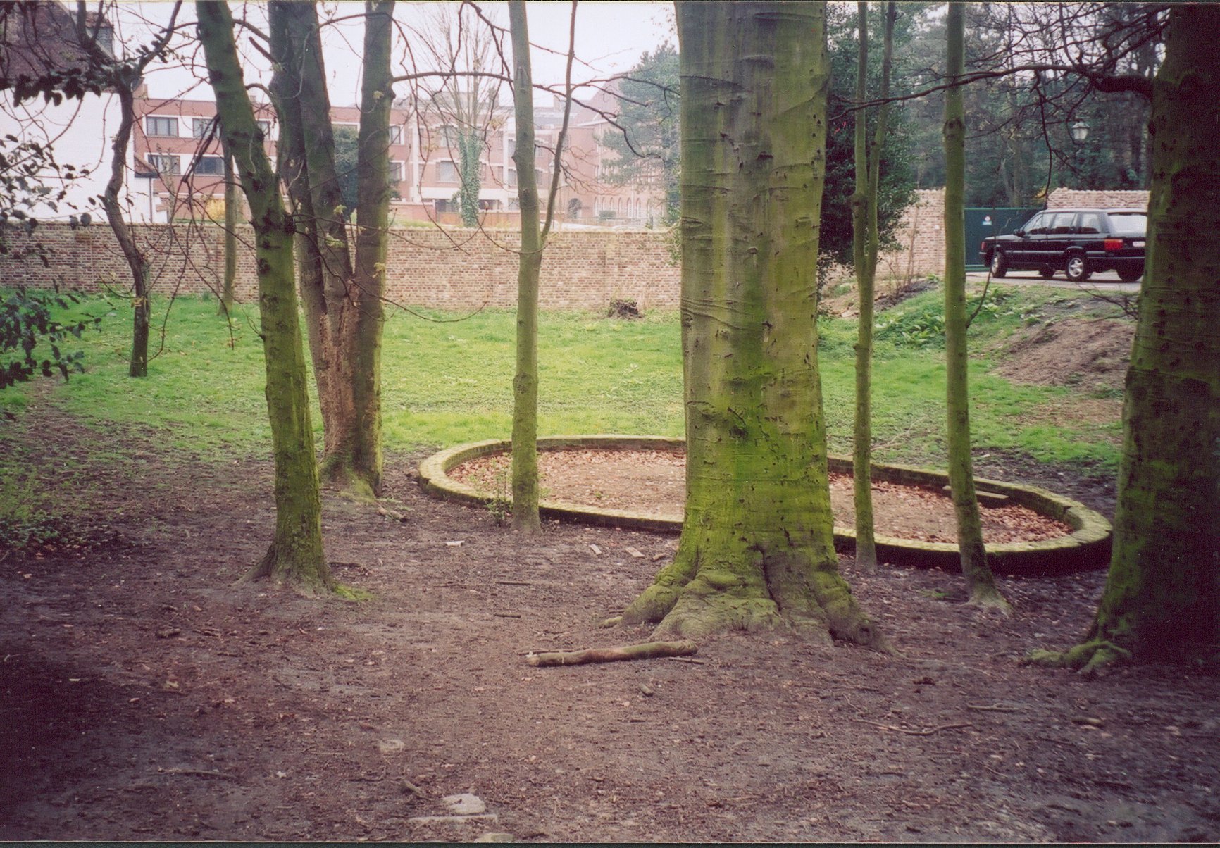 Row of tree trunks in a park with a curved brick-edged flower bed, green grass, and a stone wall, calm daytime mood